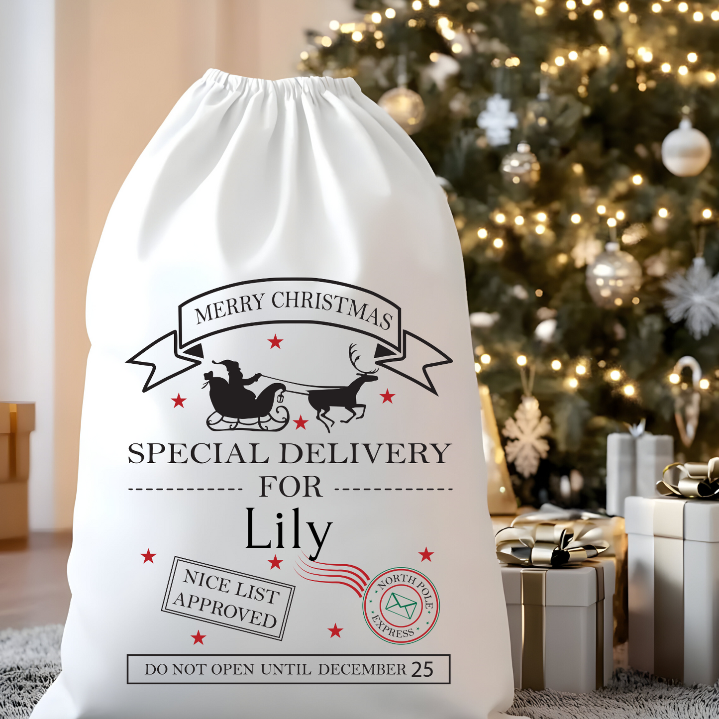 Personalized Santa Sacks