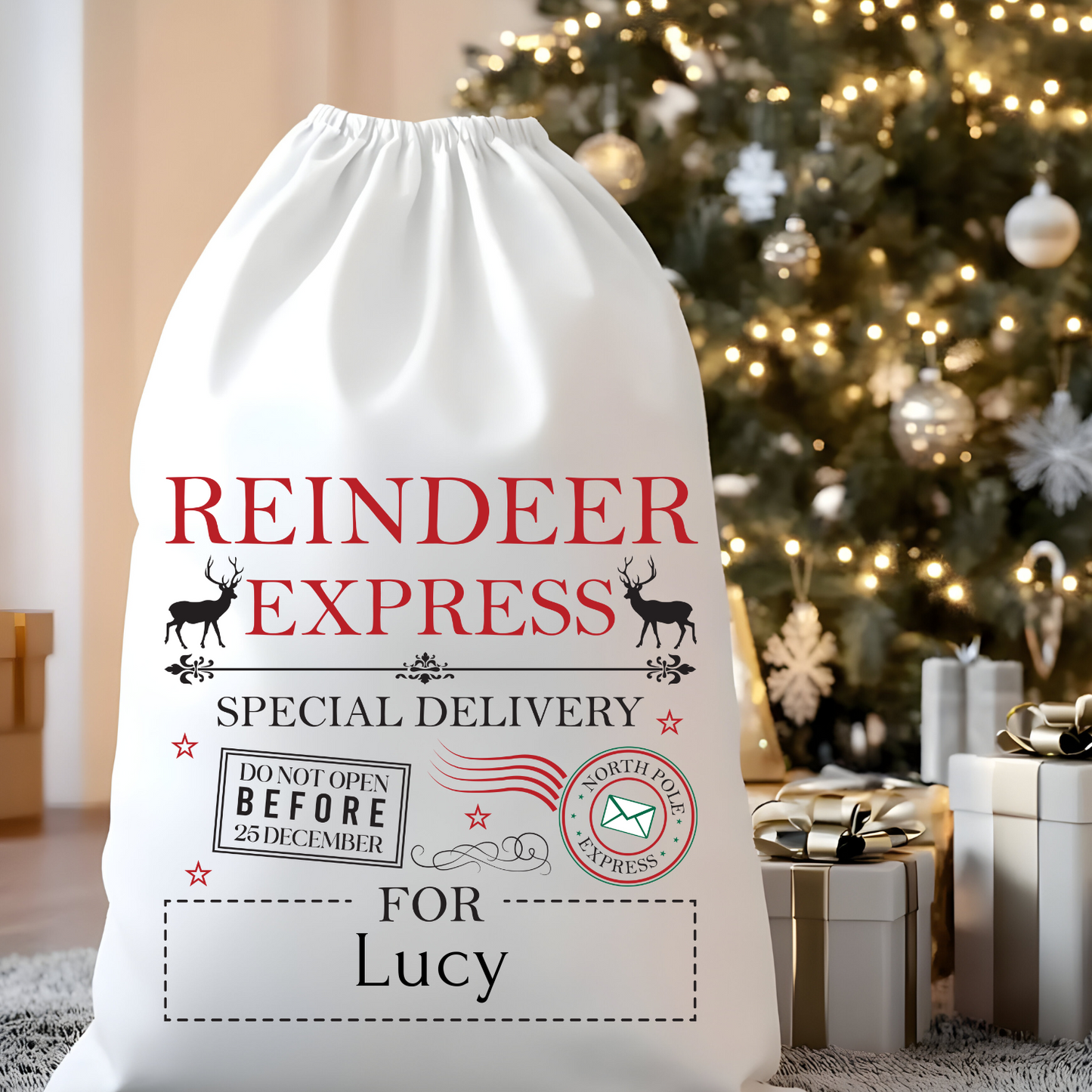 Personalized Santa Sacks