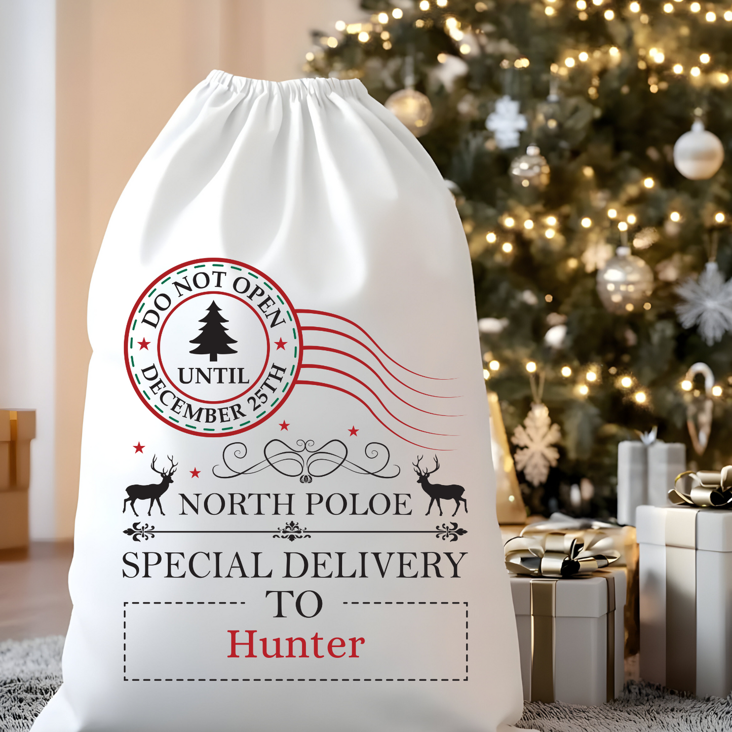 Personalized Santa Sacks